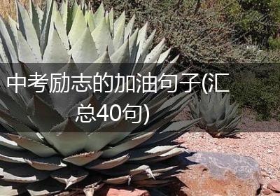 中考励志的加油句子(汇总40句)