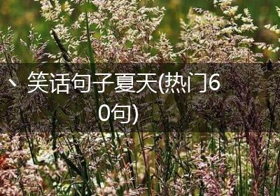 丶笑话句子夏天(热门60句)