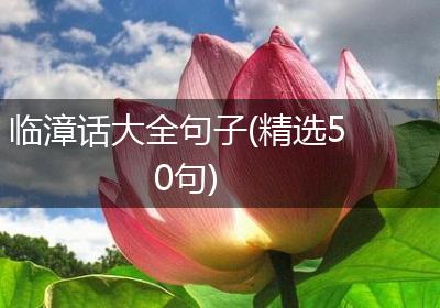临漳话大全句子(精选50句)