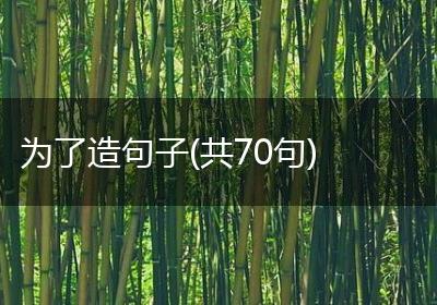 为了造句子(共70句)