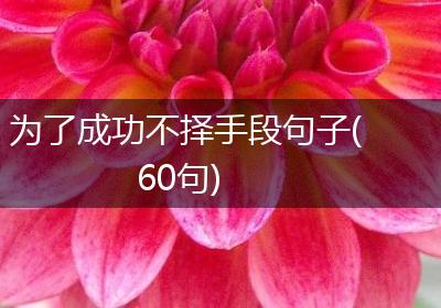 为了成功不择手段句子(60句)