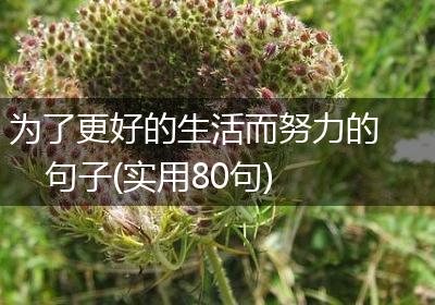 为了更好的生活而努力的句子(实用80句)
