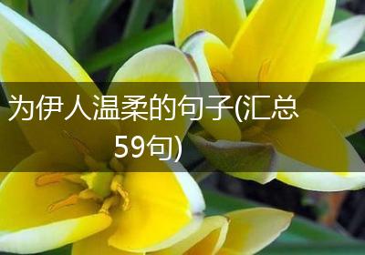 为伊人温柔的句子(汇总59句)