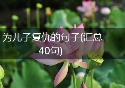 为儿子复仇的句子(汇总40句)