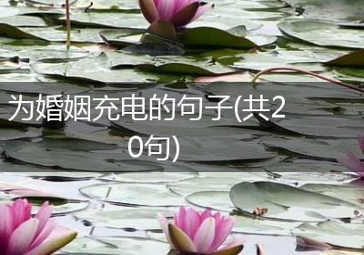 为婚姻充电的句子(共20句)