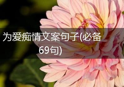 为爱痴情文案句子(必备69句)