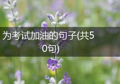 为考试加油的句子(共50句)