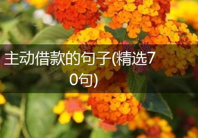 主动借款的句子(精选70句)