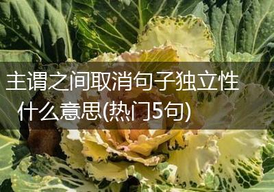 主谓之间取消句子独立性什么意思(热门5句)