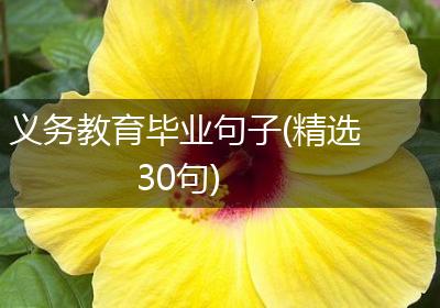 义务教育毕业句子(精选30句)