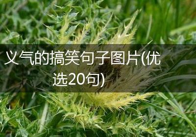 义气的搞笑句子图片(优选20句)