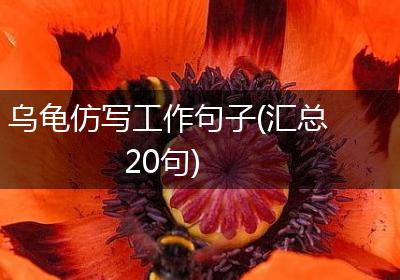 乌龟仿写工作句子(汇总20句)