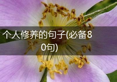个人修养的句子(必备80句)