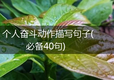 个人奋斗动作描写句子(必备40句)