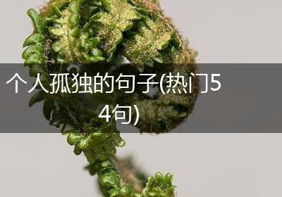 个人孤独的句子(热门54句)