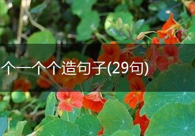 个一个个造句子(29句)