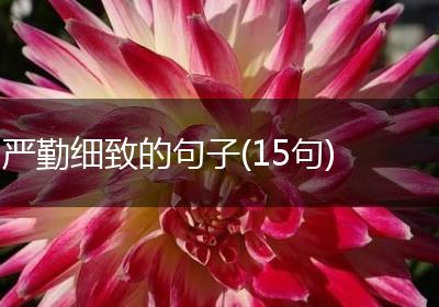 严勤细致的句子(15句)