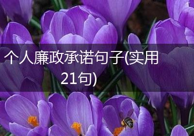 个人廉政承诺句子(实用21句)