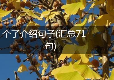 个了介绍句子(汇总71句)