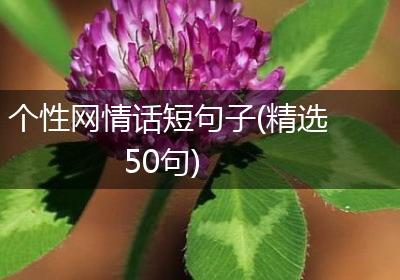 个性网情话短句子(精选50句)