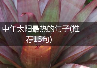 中午太阳最热的句子(推荐15句)
