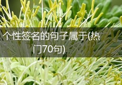 个性签名的句子属于(热门70句)