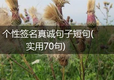 个性签名真诚句子短句(实用70句)