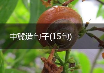 中冀造句子(15句)