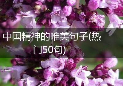 中国精神的唯美句子(热门50句)