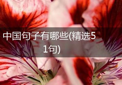 中国句子有哪些(精选51句)