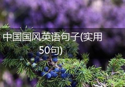 中国国风英语句子(实用50句)