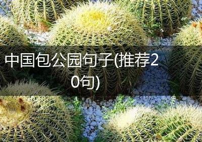 中国包公园句子(推荐20句)