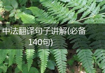 中法翻译句子讲解(必备140句)