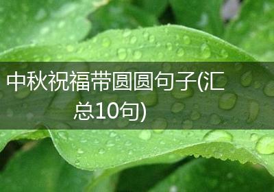 中秋祝福带圆圆句子(汇总10句)