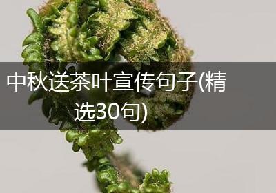 中秋送茶叶宣传句子(精选30句)