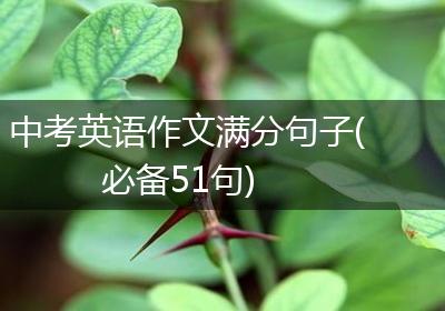 中考英语作文满分句子(必备51句)