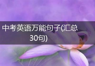 中考英语万能句子(汇总30句)