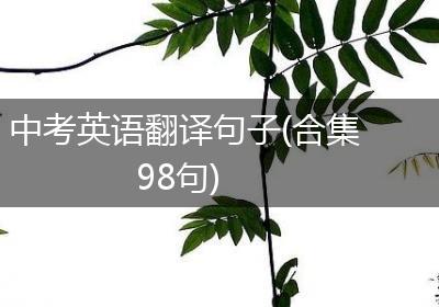 中考英语翻译句子(合集98句)