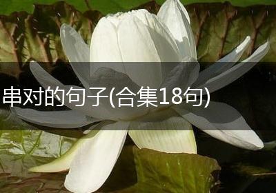 串对的句子(合集18句)