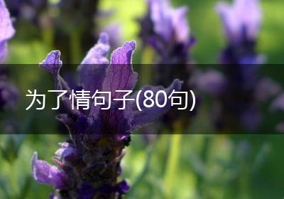 为了情句子(80句)