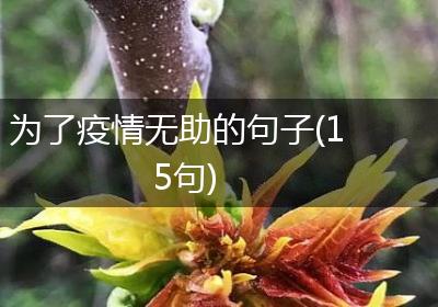 为了疫情无助的句子(15句)