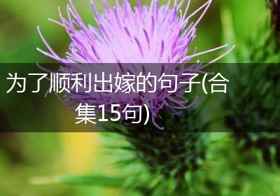 为了顺利出嫁的句子(合集15句)