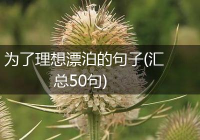 为了理想漂泊的句子(汇总50句)