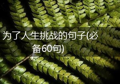 为了人生挑战的句子(必备60句)