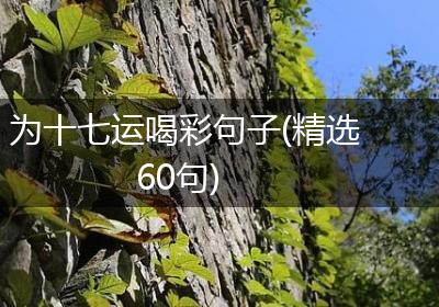 为十七运喝彩句子(精选60句)