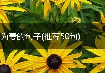 为妻的句子(推荐50句)