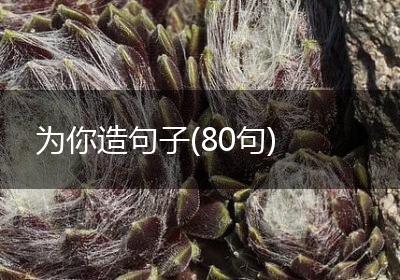 为你造句子(80句)