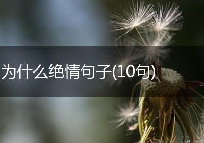 为什么绝情句子(10句)