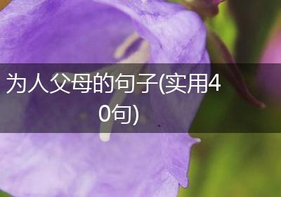 为人父母的句子(实用40句)