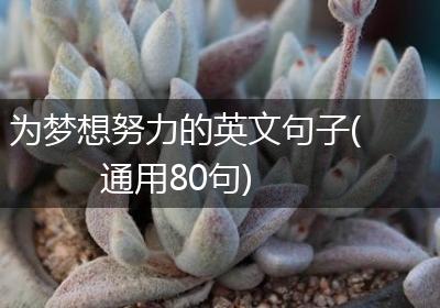 为梦想努力的英文句子(通用80句)